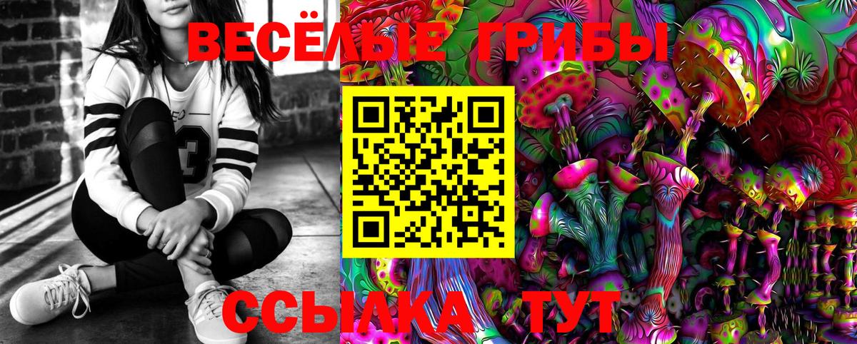 Мытищи  Псилоцибиновые грибы Cubensis  Вход с VPN 