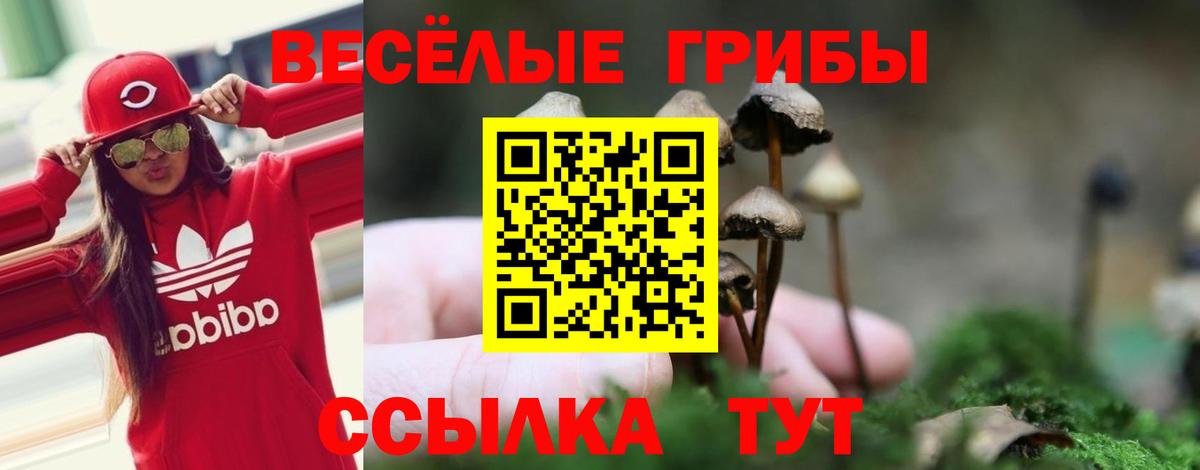 Псилоцибиновые грибы Psilocybine cubensis Мытищи